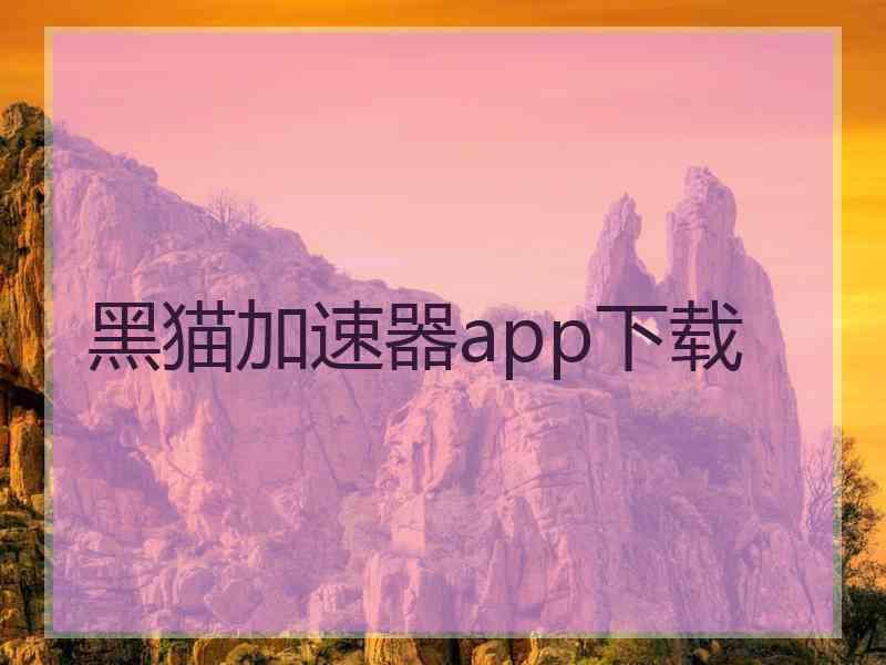 黑猫加速器app下载
