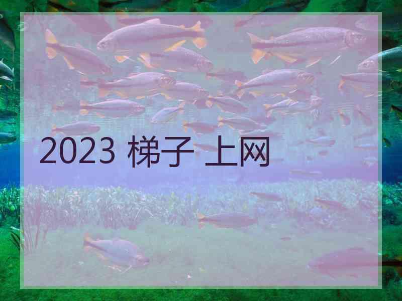 2023 梯子 上网