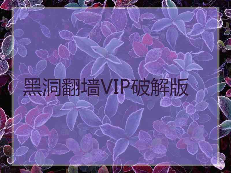 黑洞翻墙VIP破解版