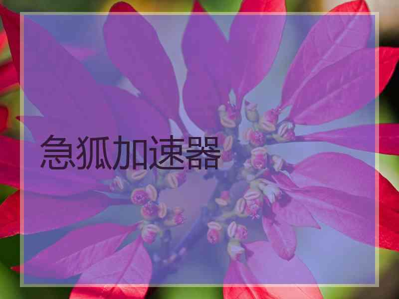 急狐加速器