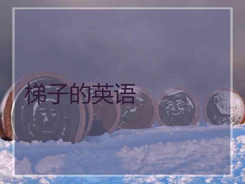 梯子的英语