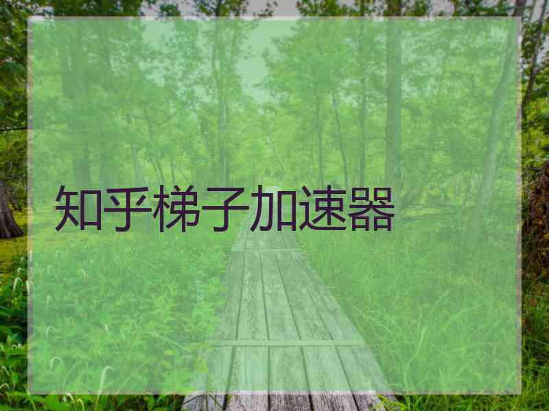 知乎梯子加速器
