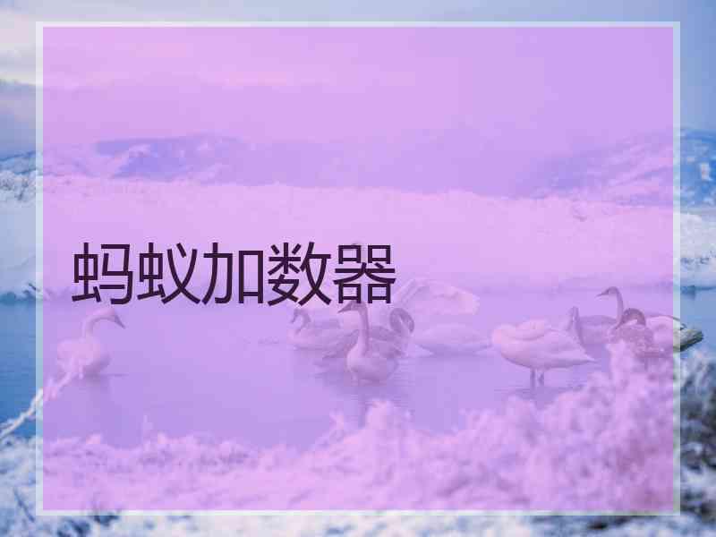 蚂蚁加数器