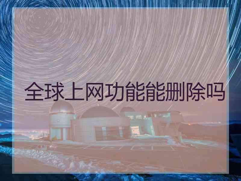 全球上网功能能删除吗