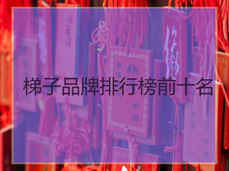 梯子品牌排行榜前十名