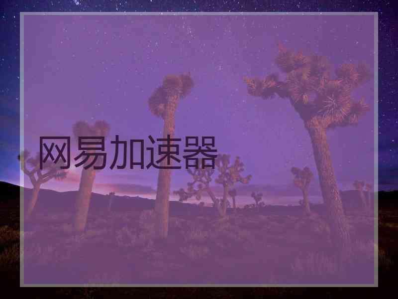 网易加速器