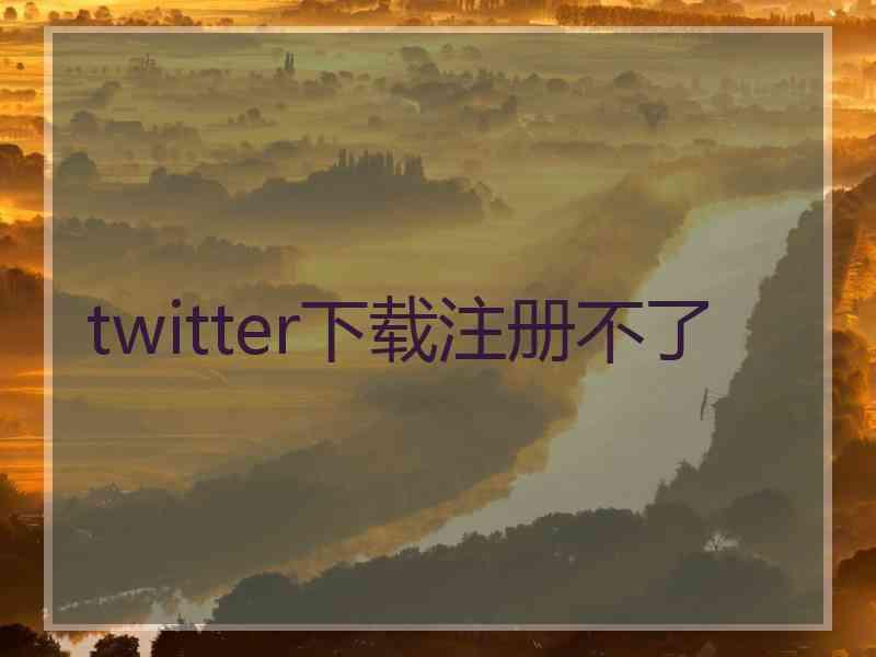 twitter下载注册不了