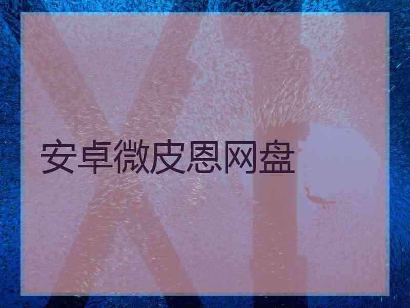 安卓微皮恩网盘