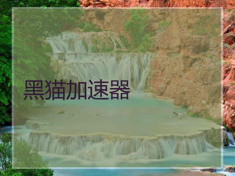 黑猫加速器