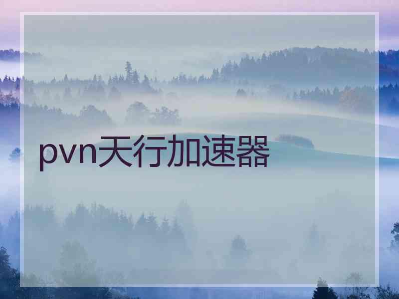 pvn天行加速器