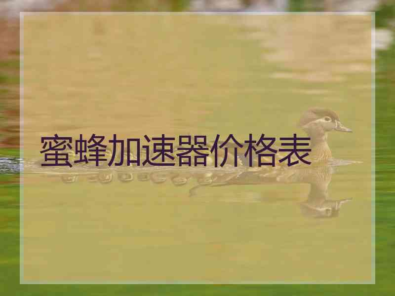 蜜蜂加速器价格表