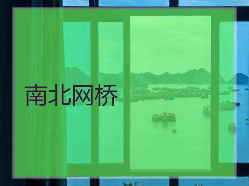 南北网桥