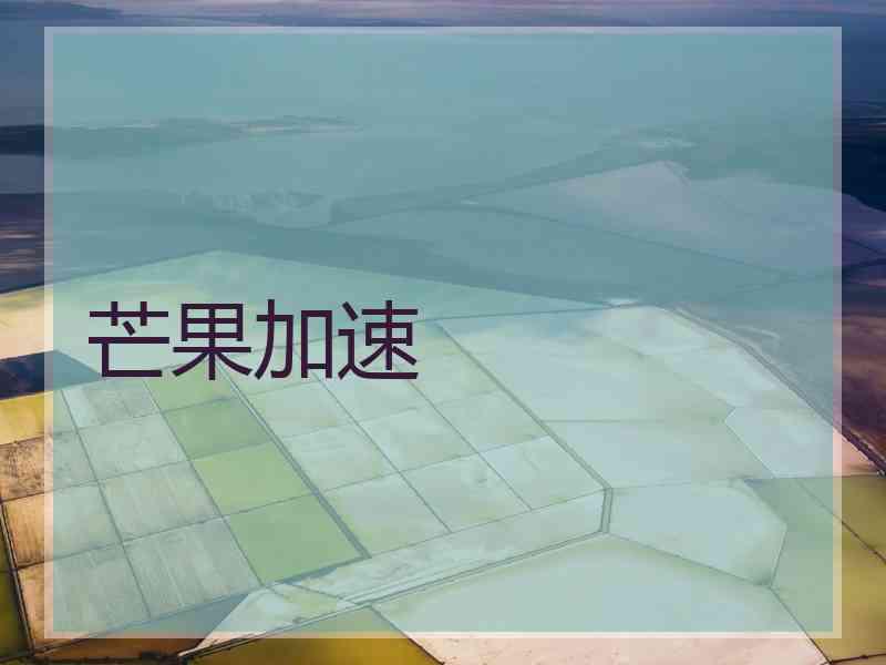 芒果加速