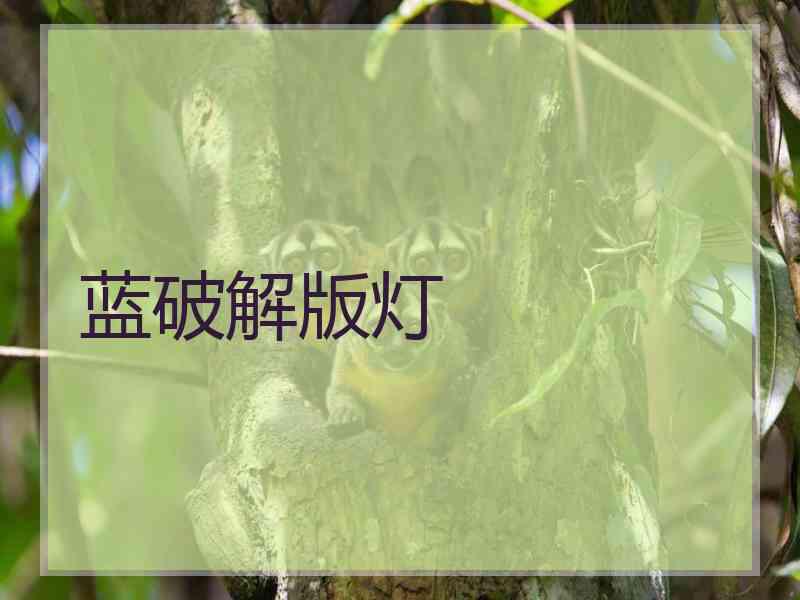 蓝破解版灯