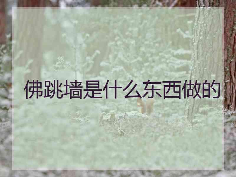 佛跳墙是什么东西做的