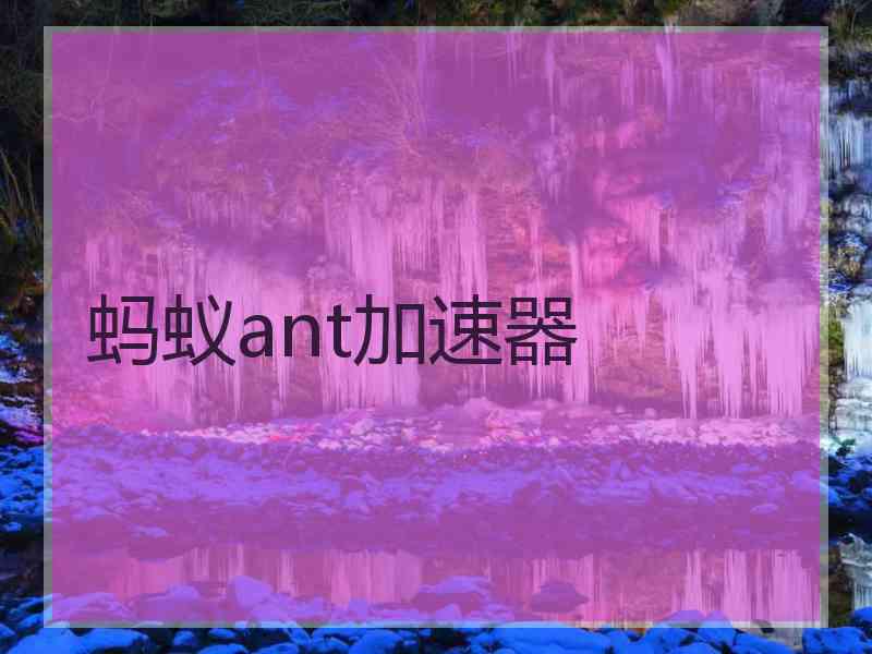 蚂蚁ant加速器