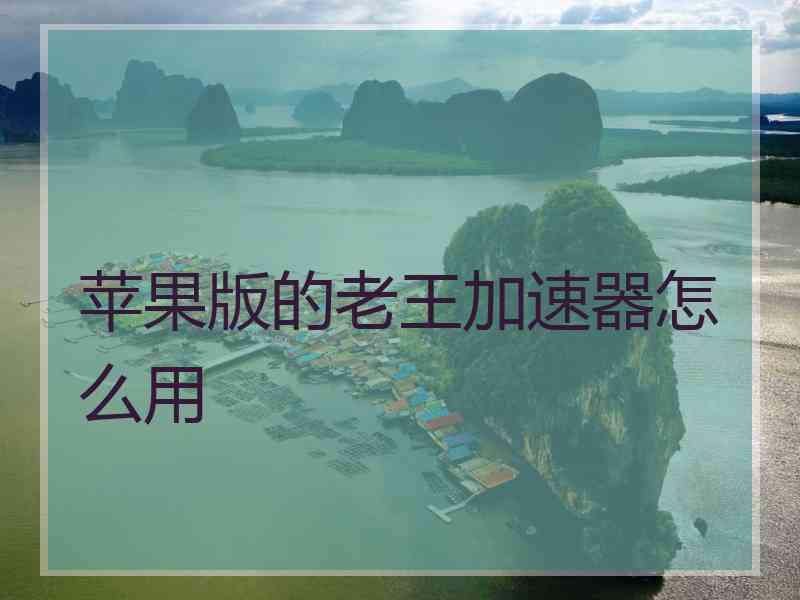 苹果版的老王加速器怎么用