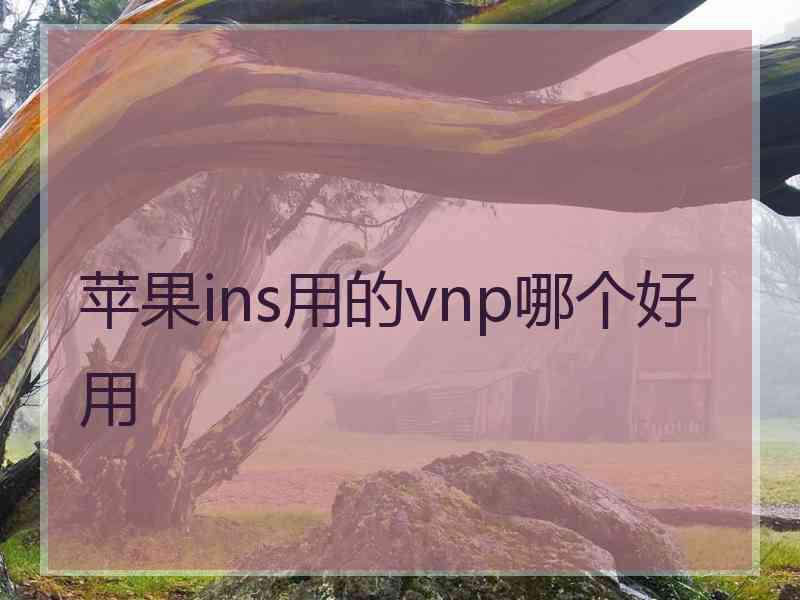 苹果ins用的vnp哪个好用