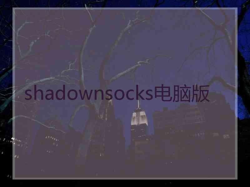 shadownsocks电脑版