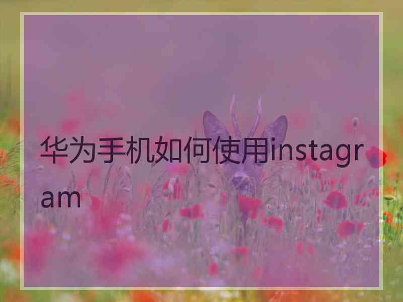 华为手机如何使用instagram