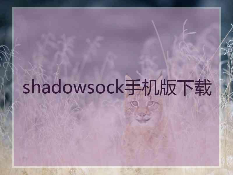 shadowsock手机版下载