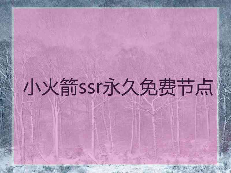 小火箭ssr永久免费节点