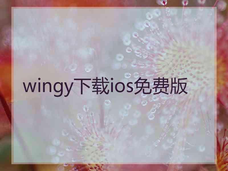 wingy下载ios免费版
