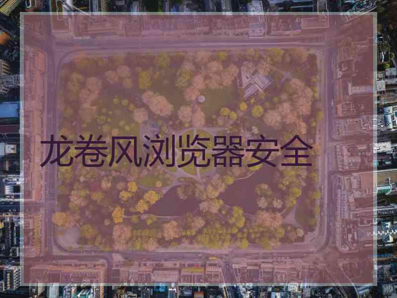 龙卷风浏览器安全
