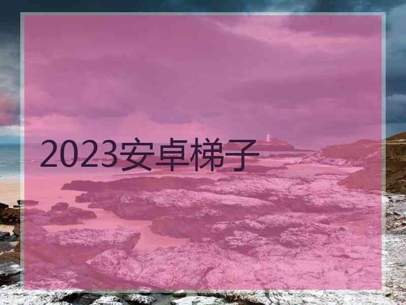 2023安卓梯子