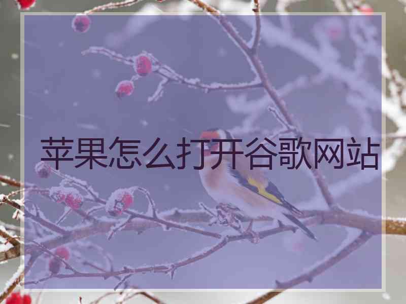 苹果怎么打开谷歌网站
