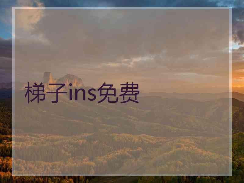 梯子ins免费