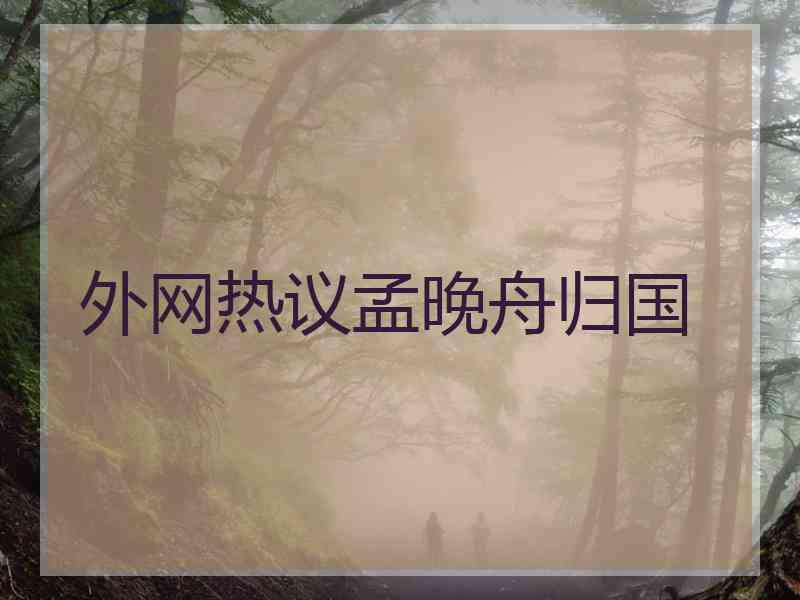 外网热议孟晚舟归国