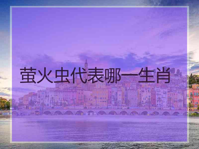 萤火虫代表哪一生肖