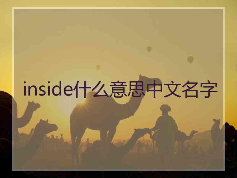 inside什么意思中文名字