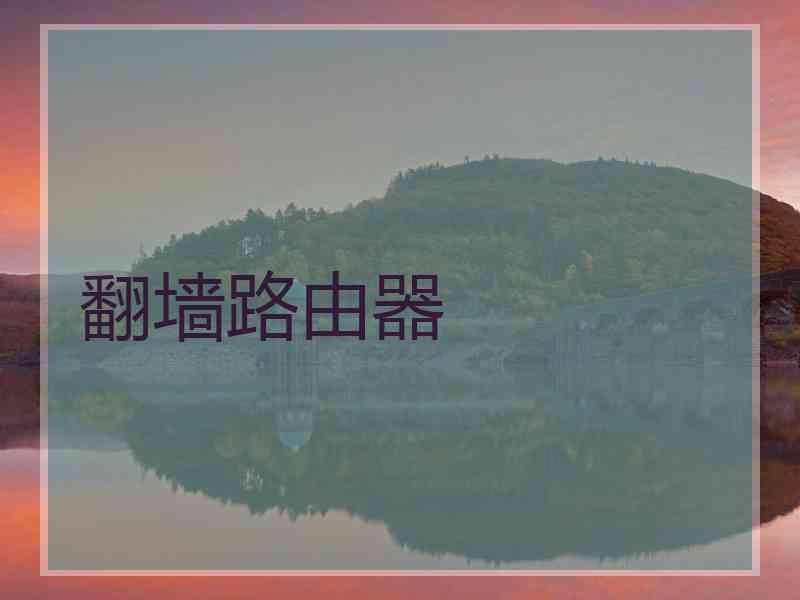 翻墙路由器