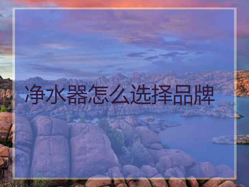 净水器怎么选择品牌