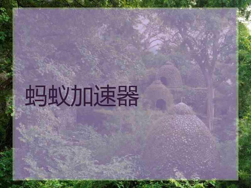 蚂蚁加速器