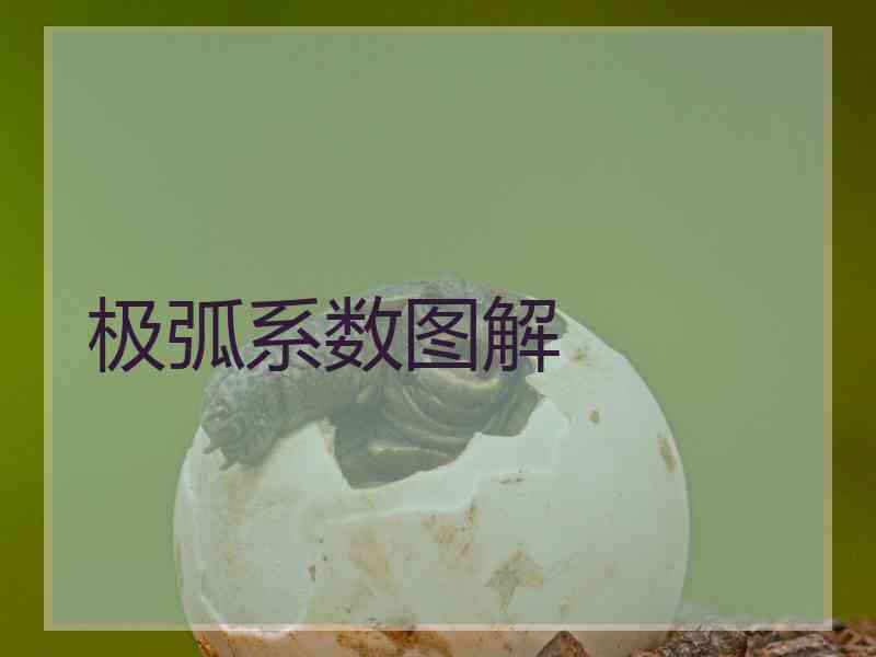 极弧系数图解