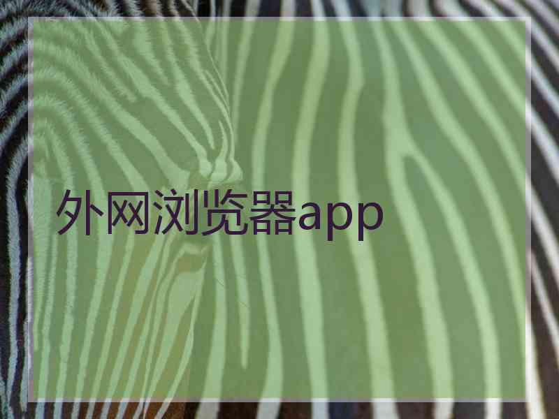 外网浏览器app