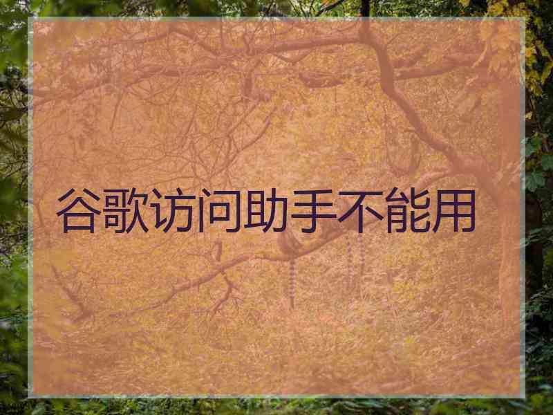谷歌访问助手不能用