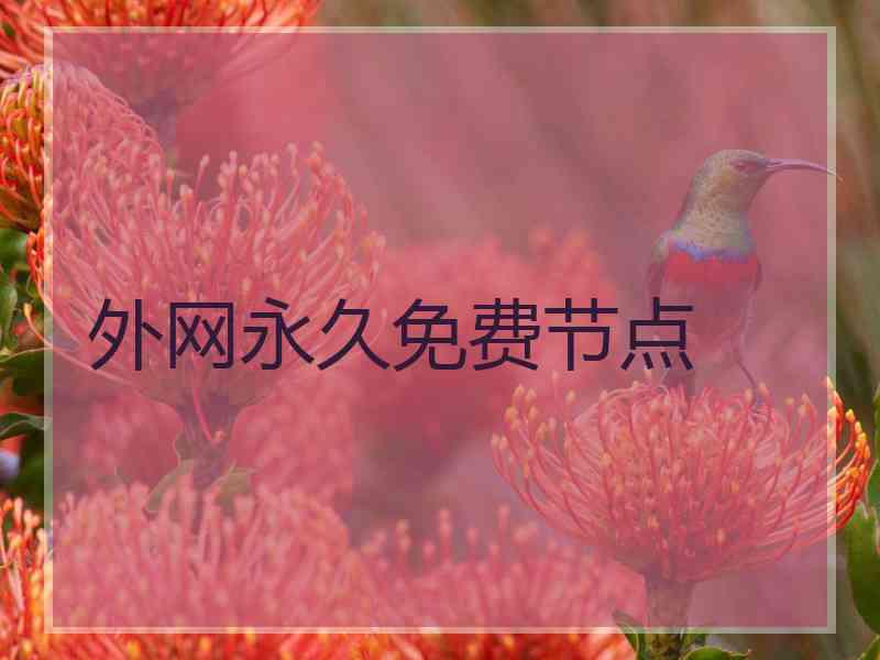 外网永久免费节点