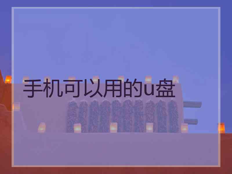 手机可以用的u盘