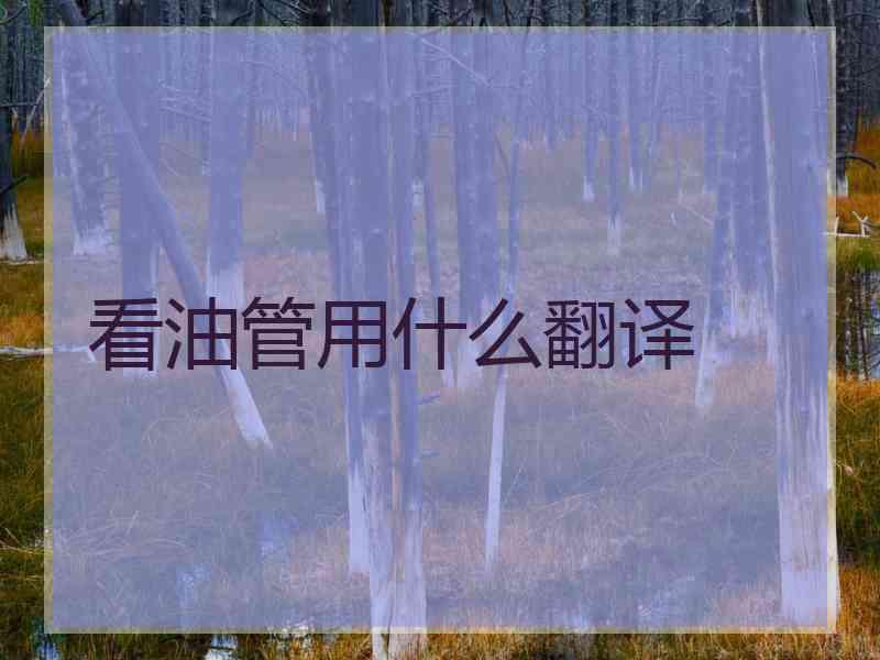 看油管用什么翻译