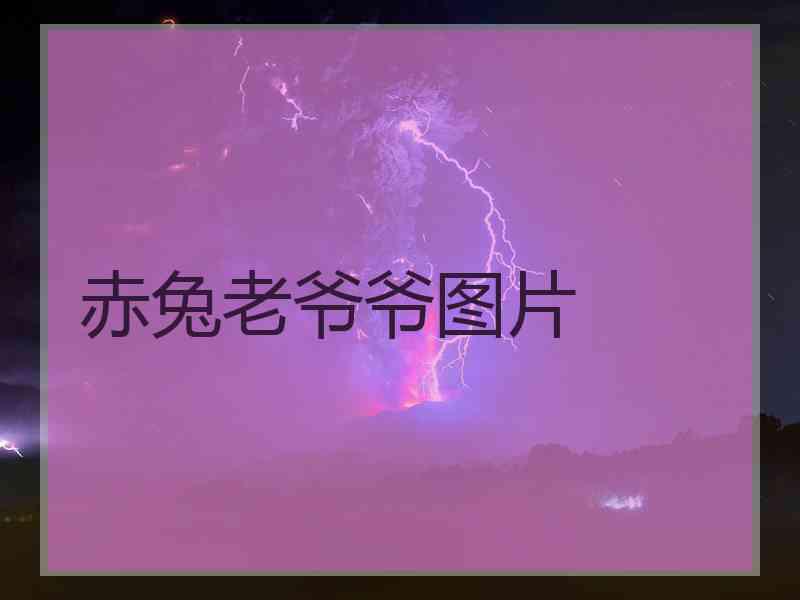 赤兔老爷爷图片