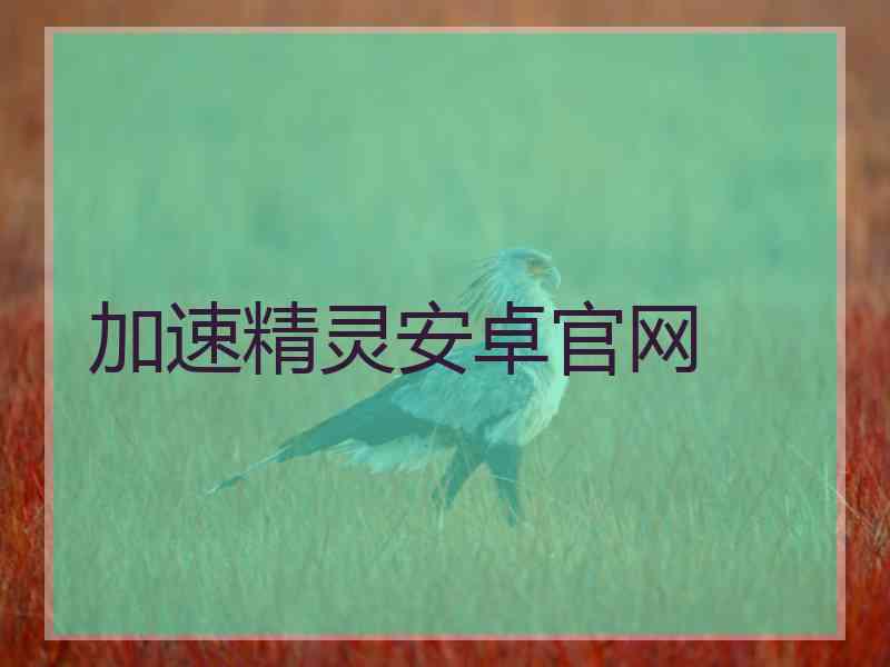 加速精灵安卓官网